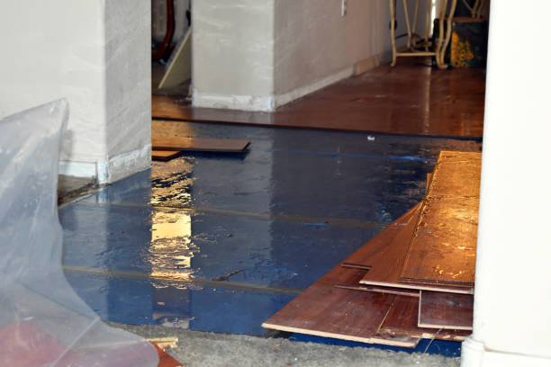 Professional Flood Cleanup technician working in Newark, NY