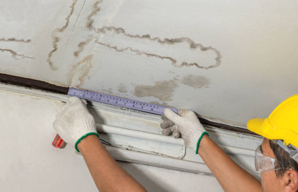 Reliable Flood Cleanup contractor in Newark, NY by Water Damage Irwin